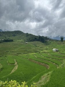 Lao Cai landscape
