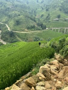 Lao Cai landscape8