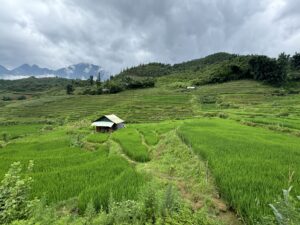 Lao Cai landscape9